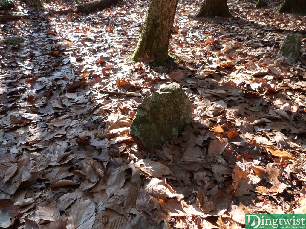 Rocks center and right are tombstones.