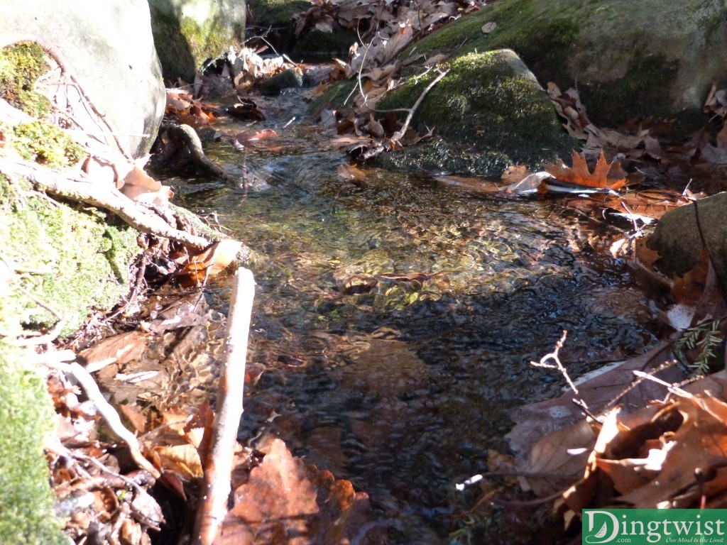 Pure mountain spring.