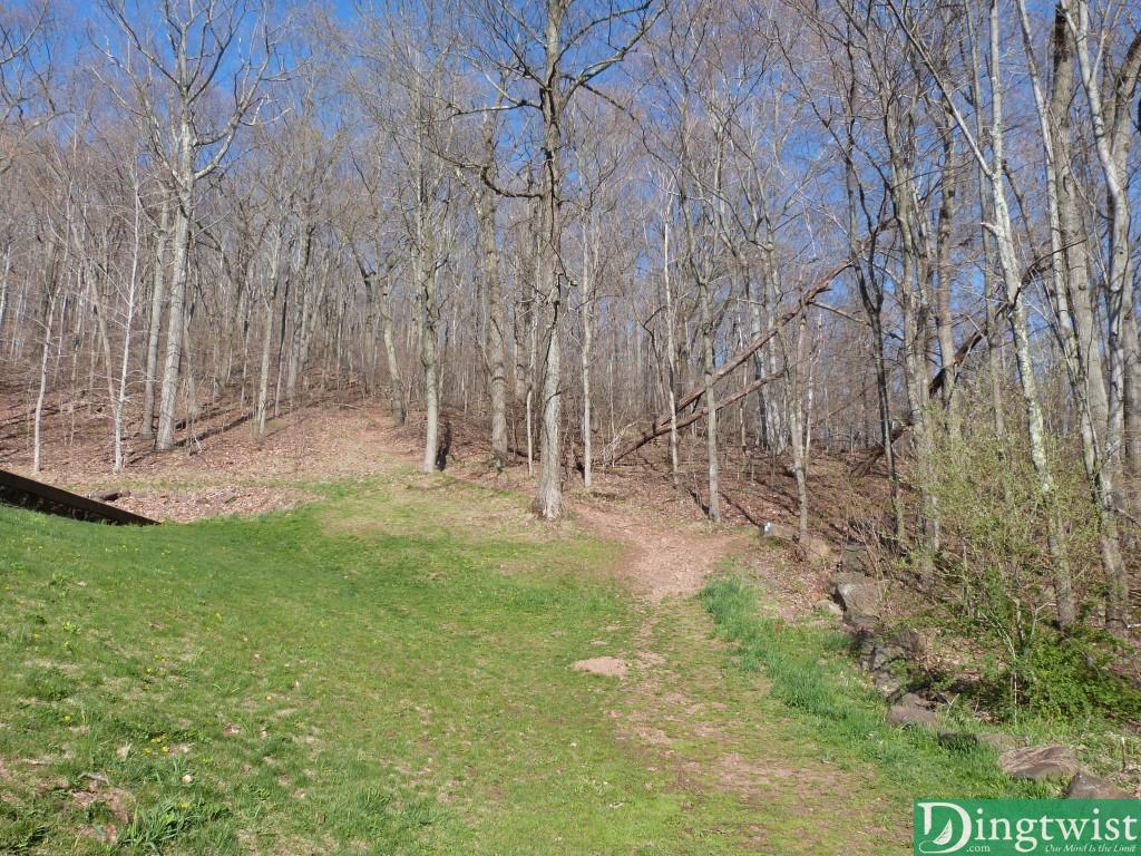 You can go left or right. Left is steeper at first, the right is flatter, but they both end up leading to the same trail to the peak. I like the right trail.