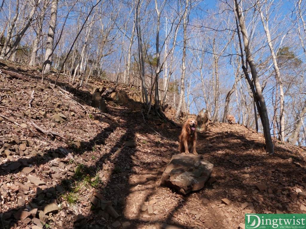 Steeper still. Buddy taking a breather while Rigs plows ahead.