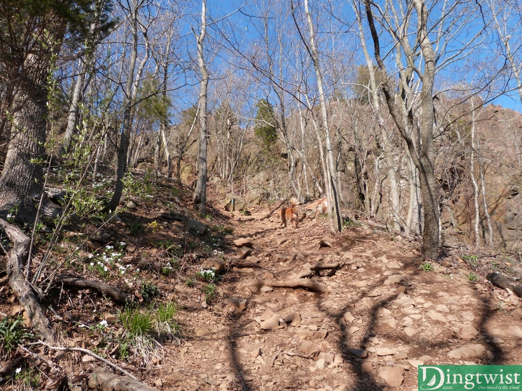 Steeper...the rock face in the background is what you'll be climbing soon.