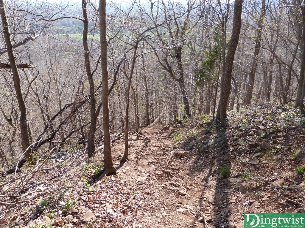 Looking back down the trail.