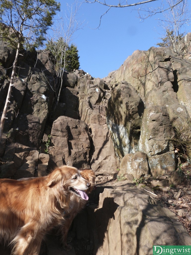 Last push, straight up the rocks up to the peak. Once at the top, take a right to enjoy the view.