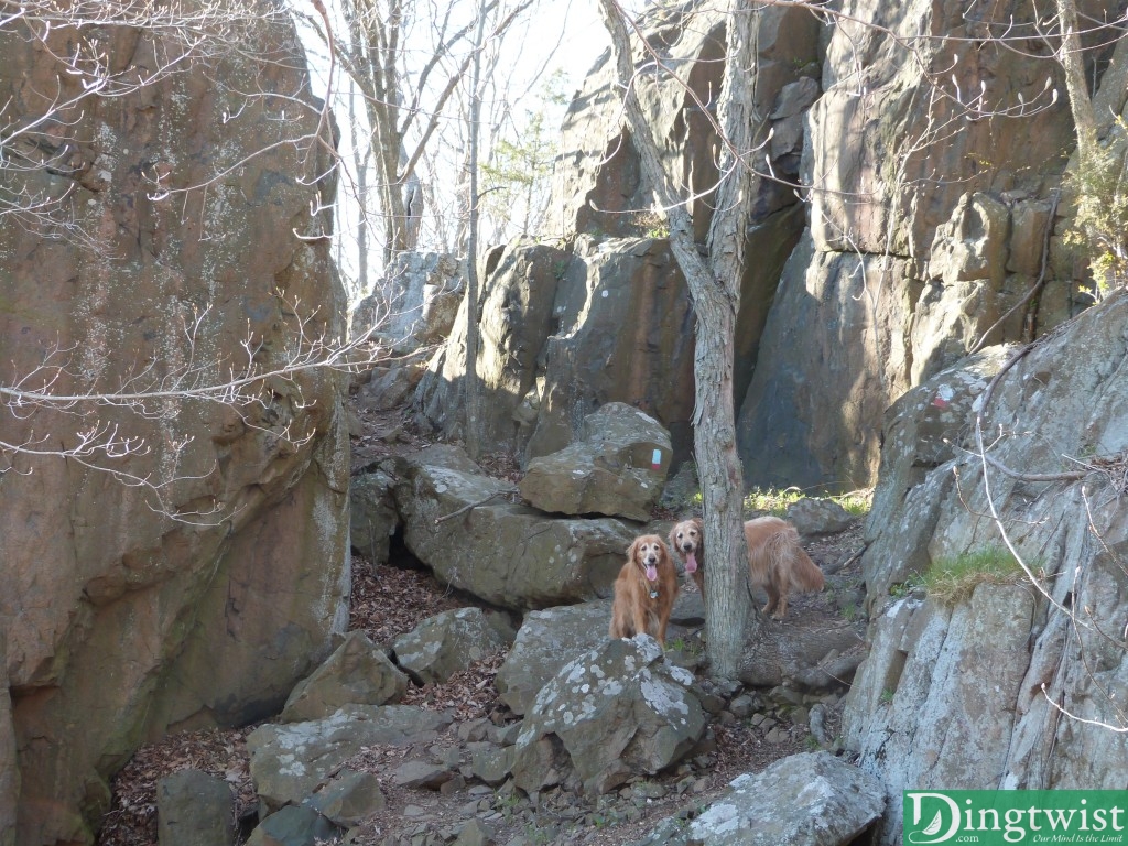 There are some cool little parts of the trail, this part carving its way between boulders and rock.