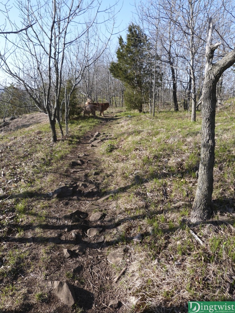 This is what a lot of the trail looks like along the ridge. To the left is Crescent Lake.