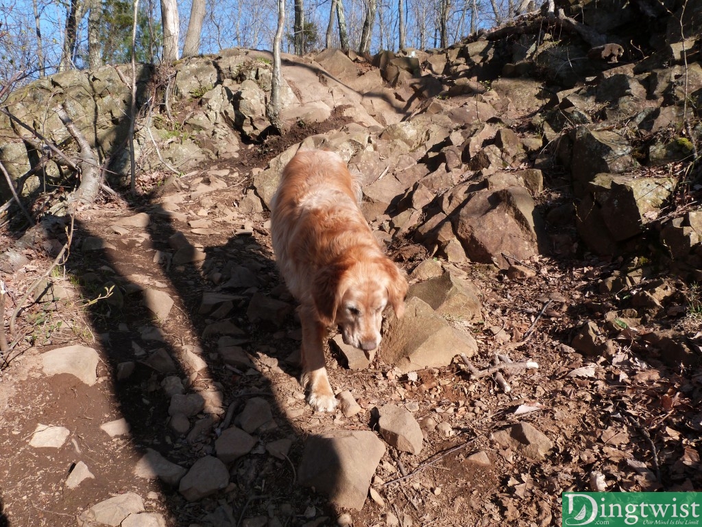 If you can see, Rigs is carrying a rock down the mountain. He has an unhealthy obsession with rocks. Very strange.