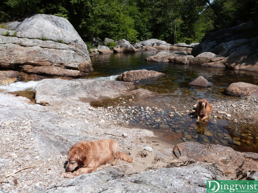 The swimming hole. And dogs.