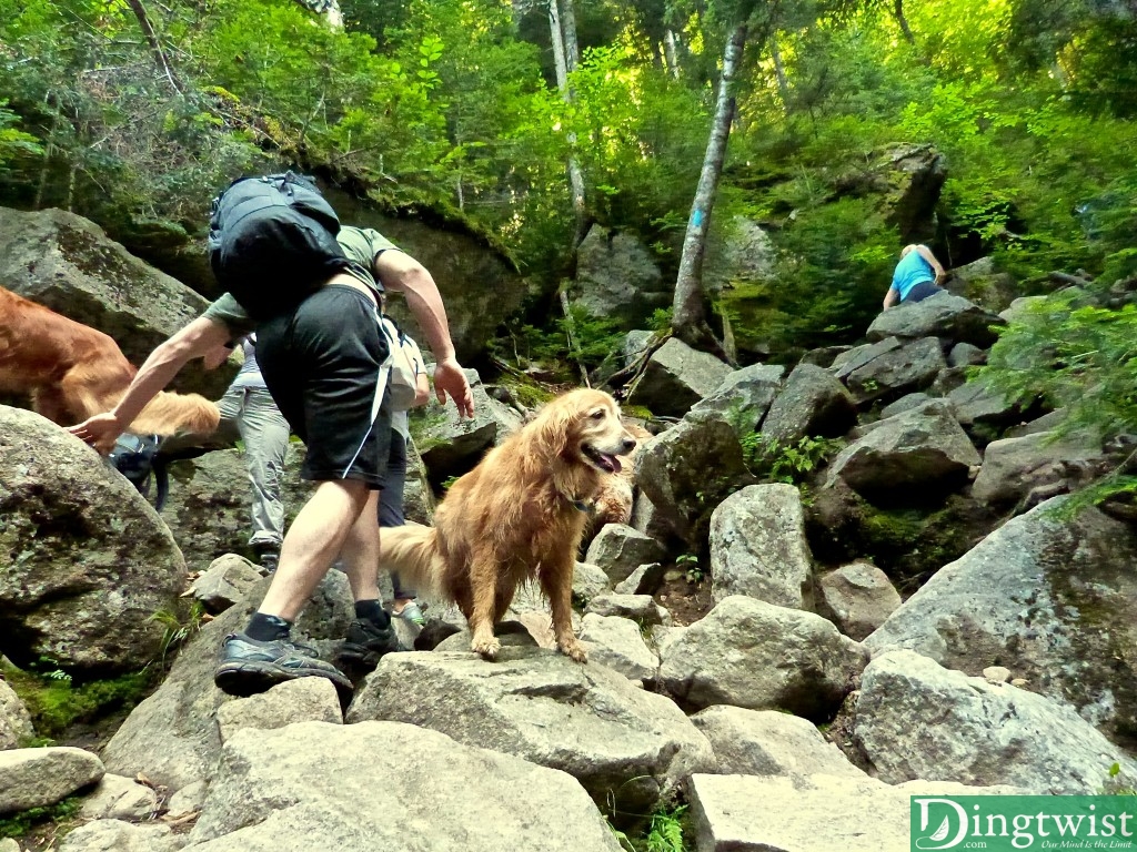 Hopping rock to rock along Falling Waters Trail.