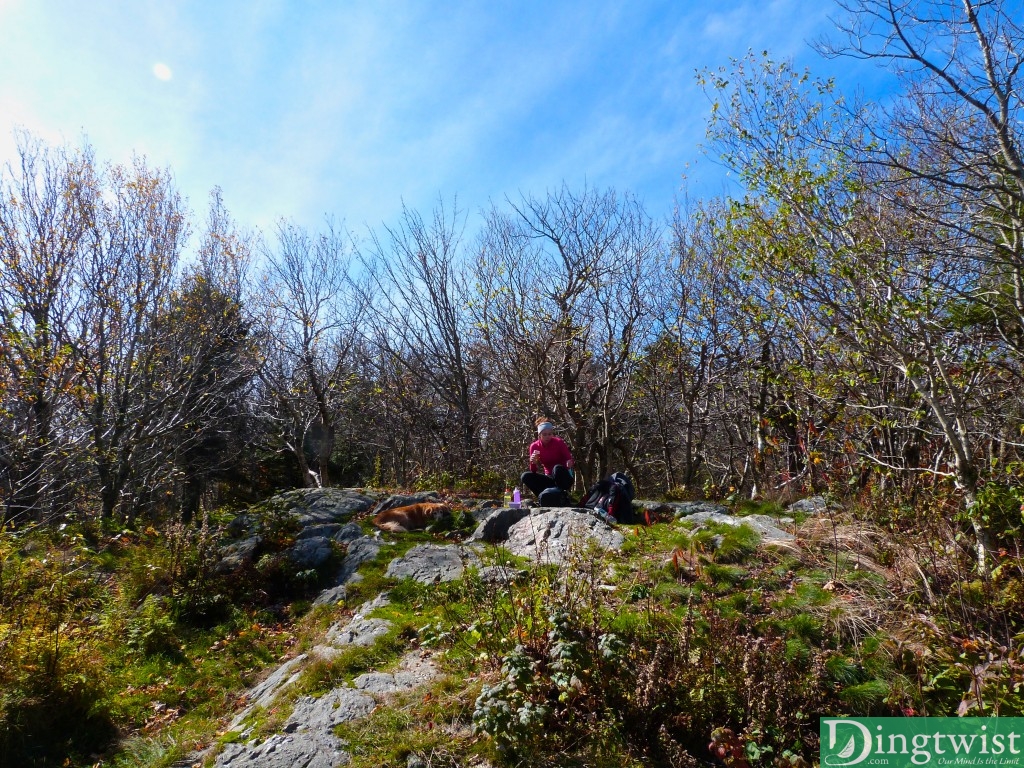 greylock hiking