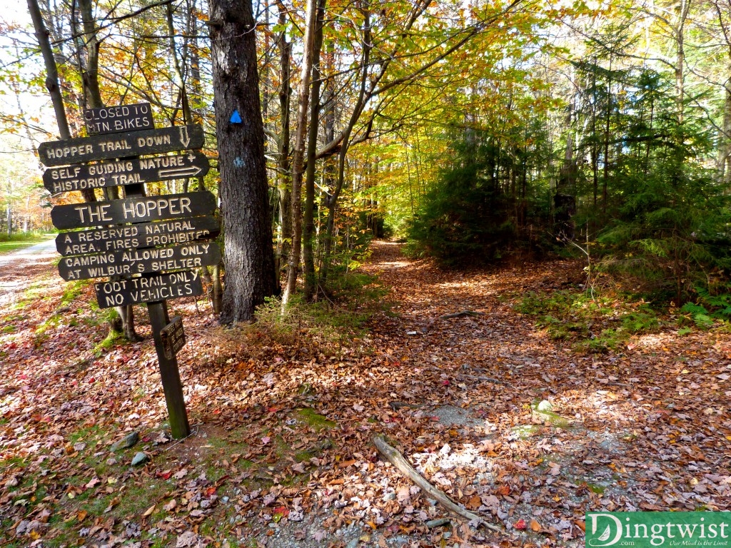 greylock ma