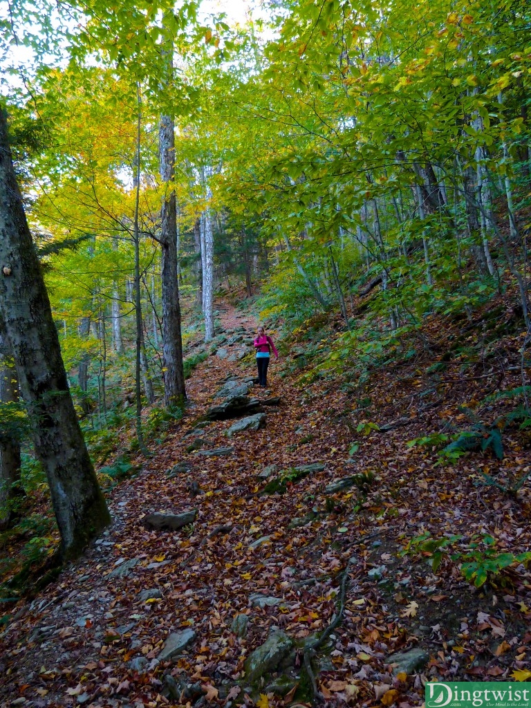 greylock ma hike