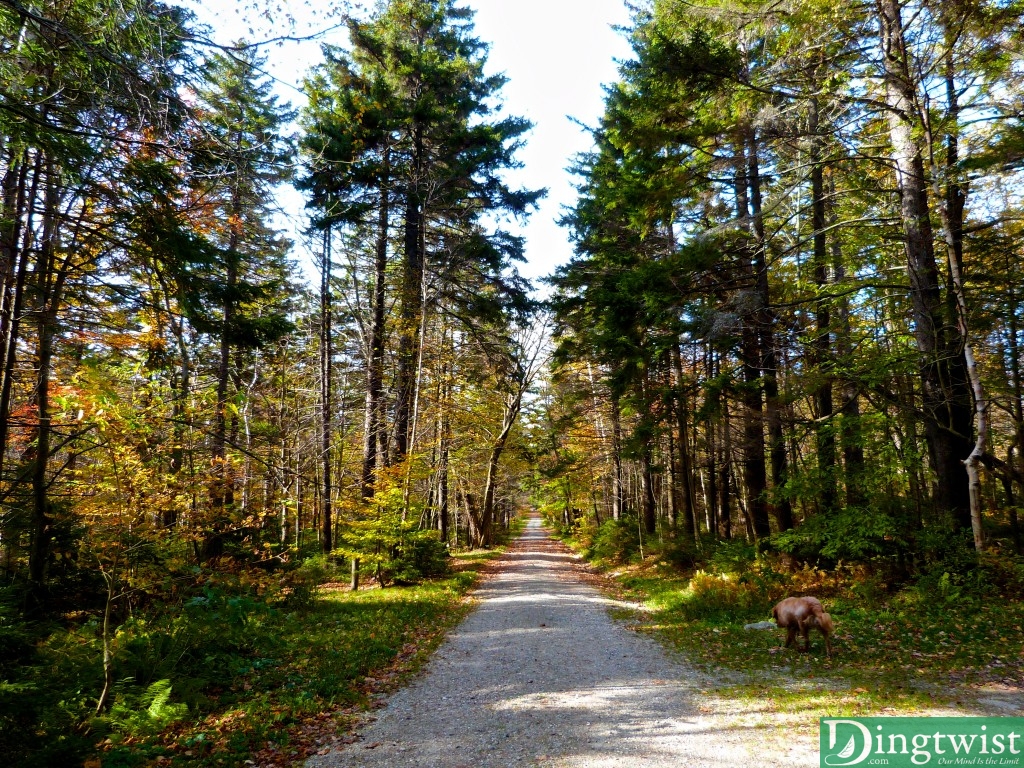 greylock mass