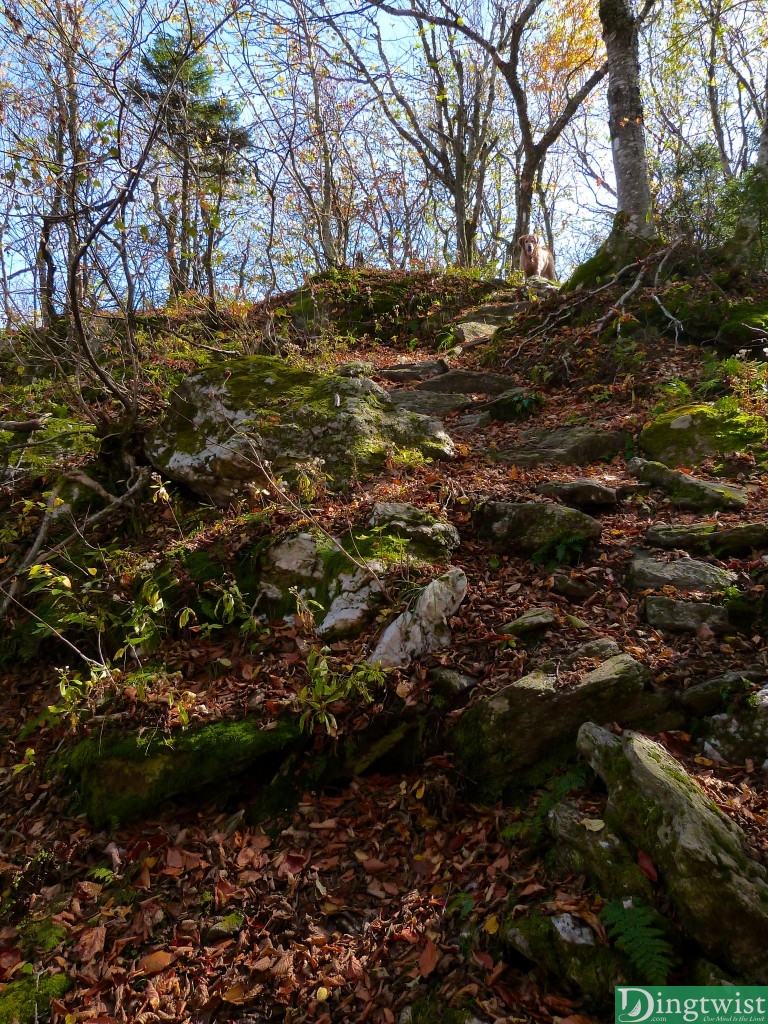 greylock moneybrook