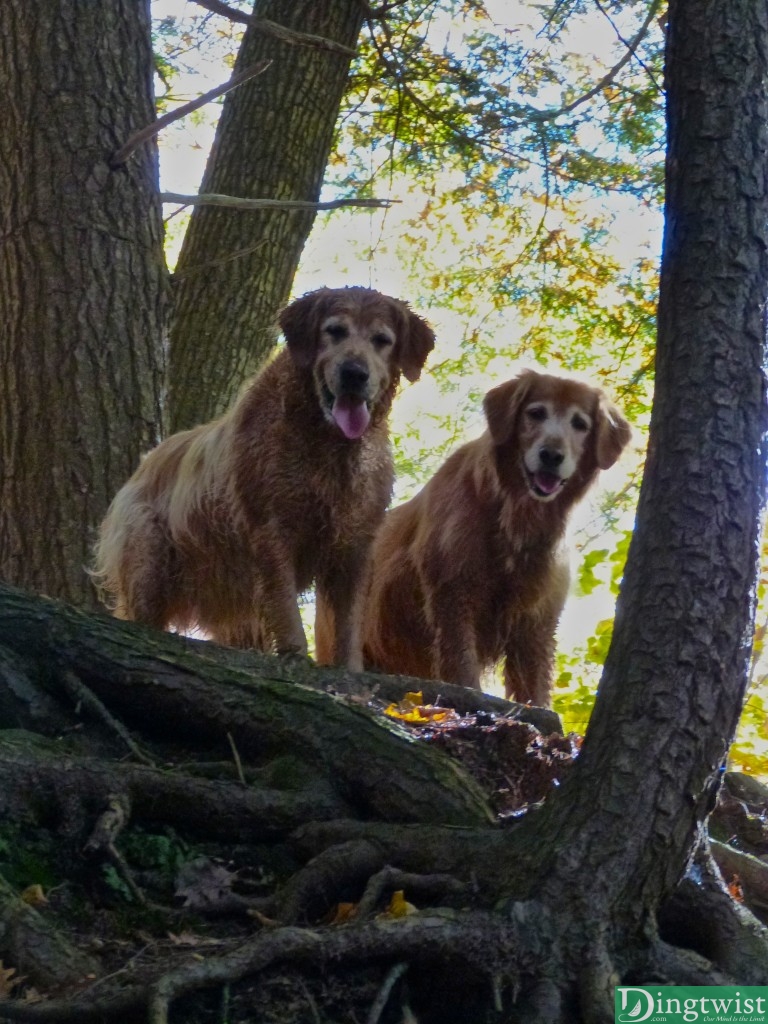 hike mount greylock