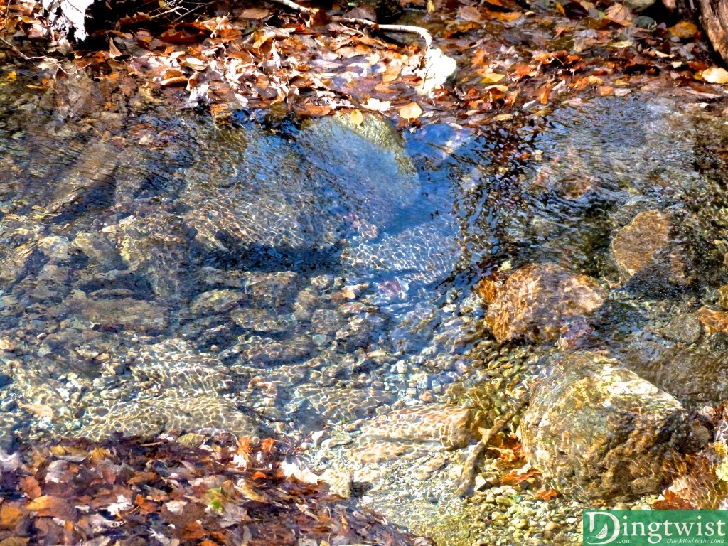 mount greylock hike