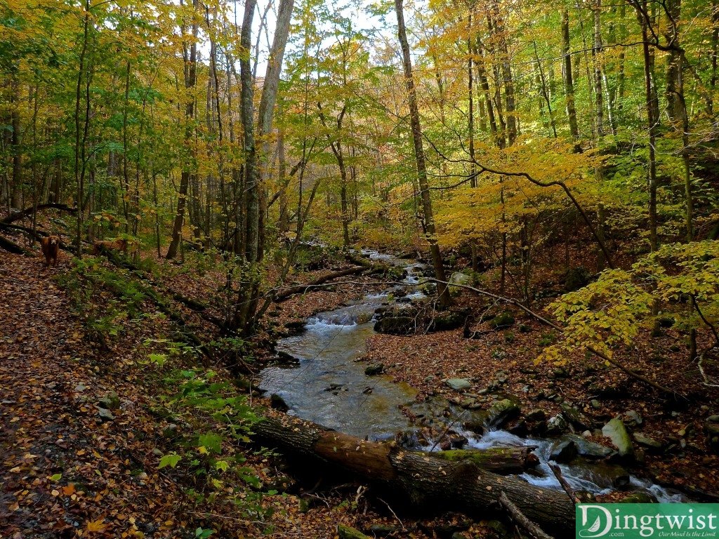 mount greylock hiking