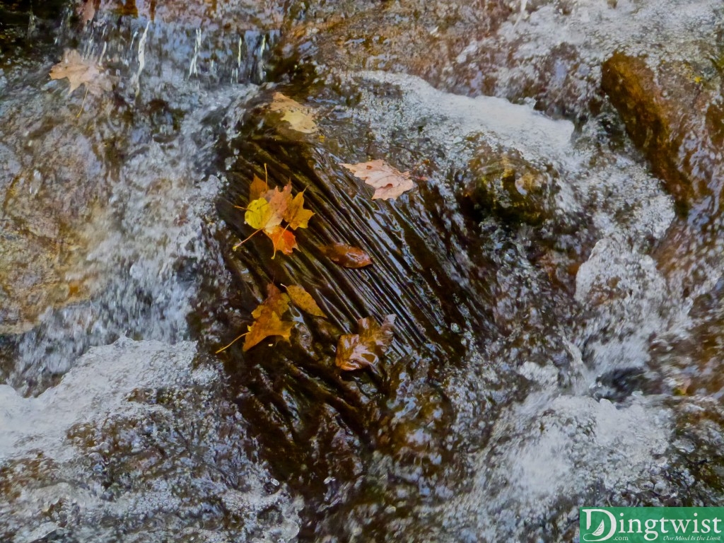 mount greylock hopper trail