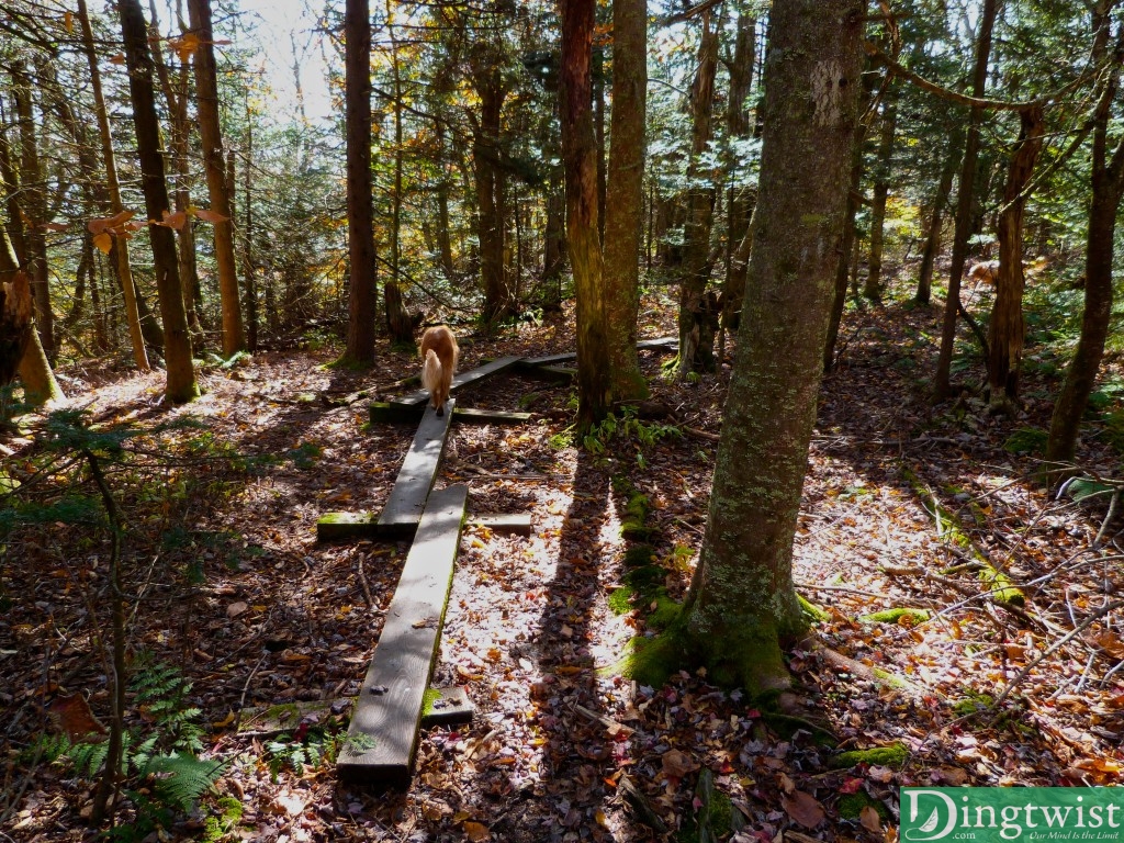 mount greylock ma