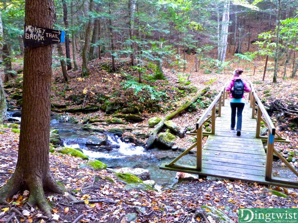 mount greylock moneybrook