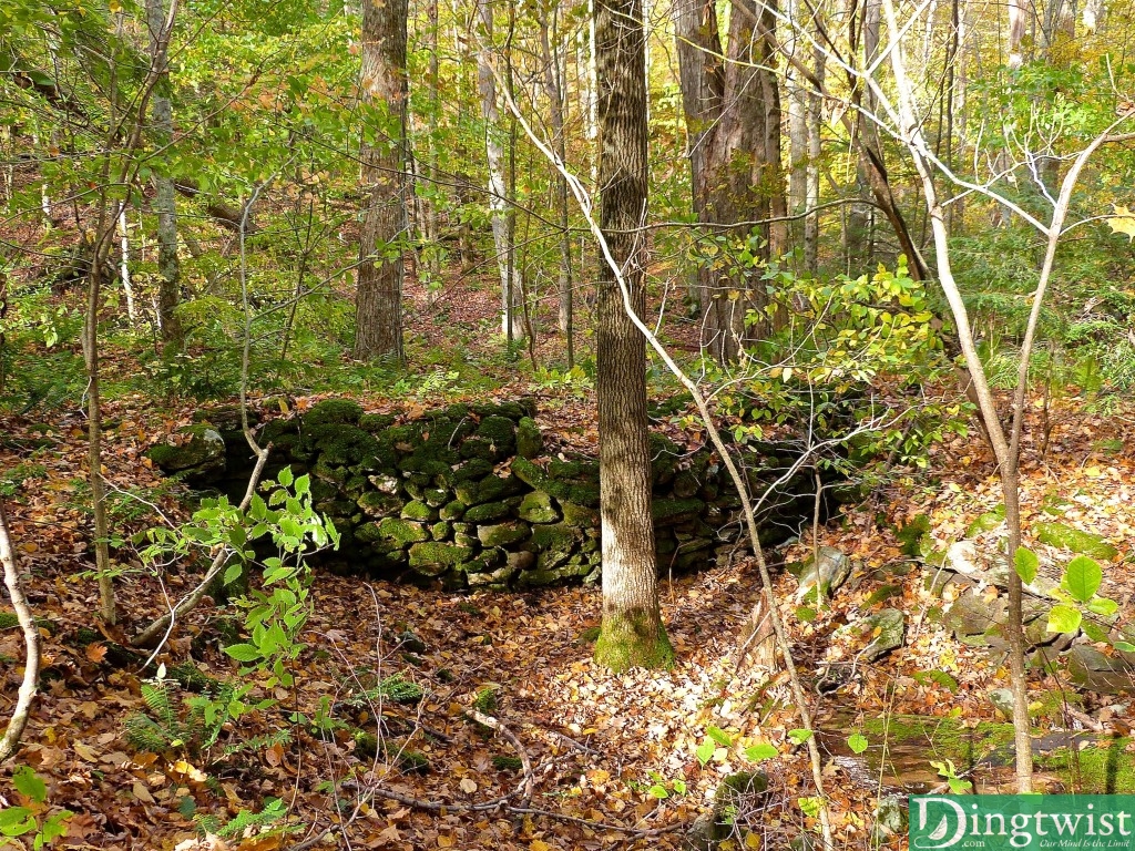 mount greylock moneybrook trail