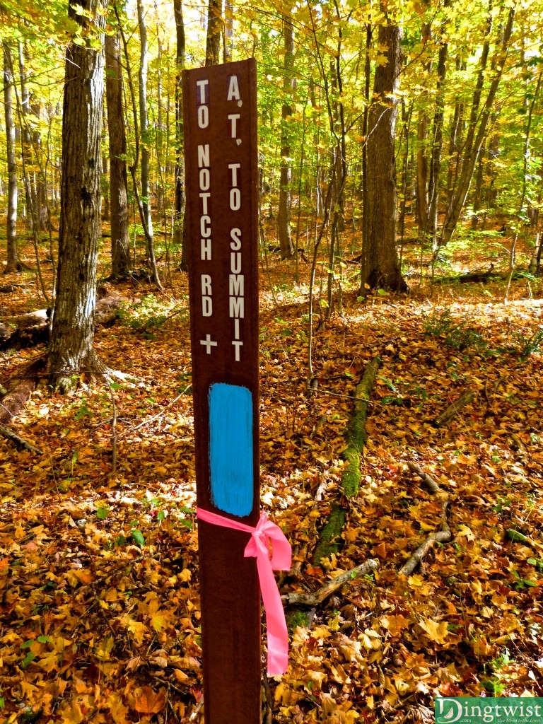 mount greylock western ma