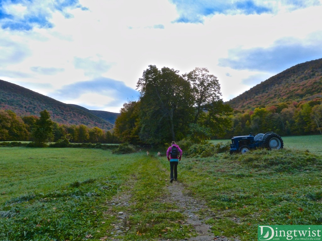 mt greylock appalacian trail