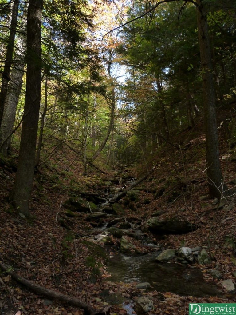 mt greylock hiking