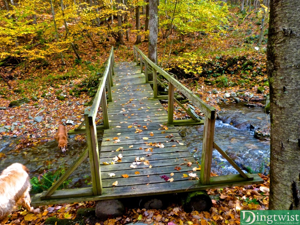 mt greylock loop hike