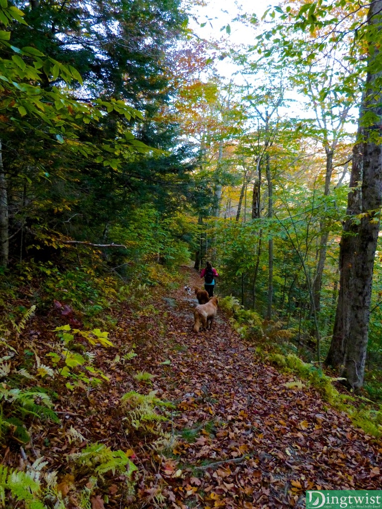 mt greylock massachussetts