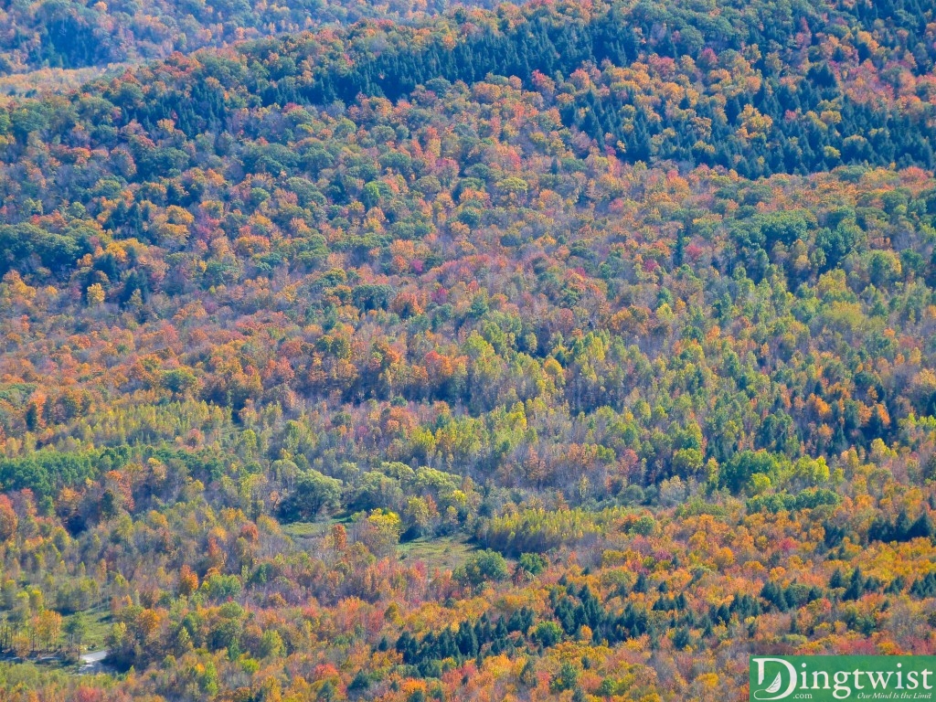 mt greylock moneybrook hike