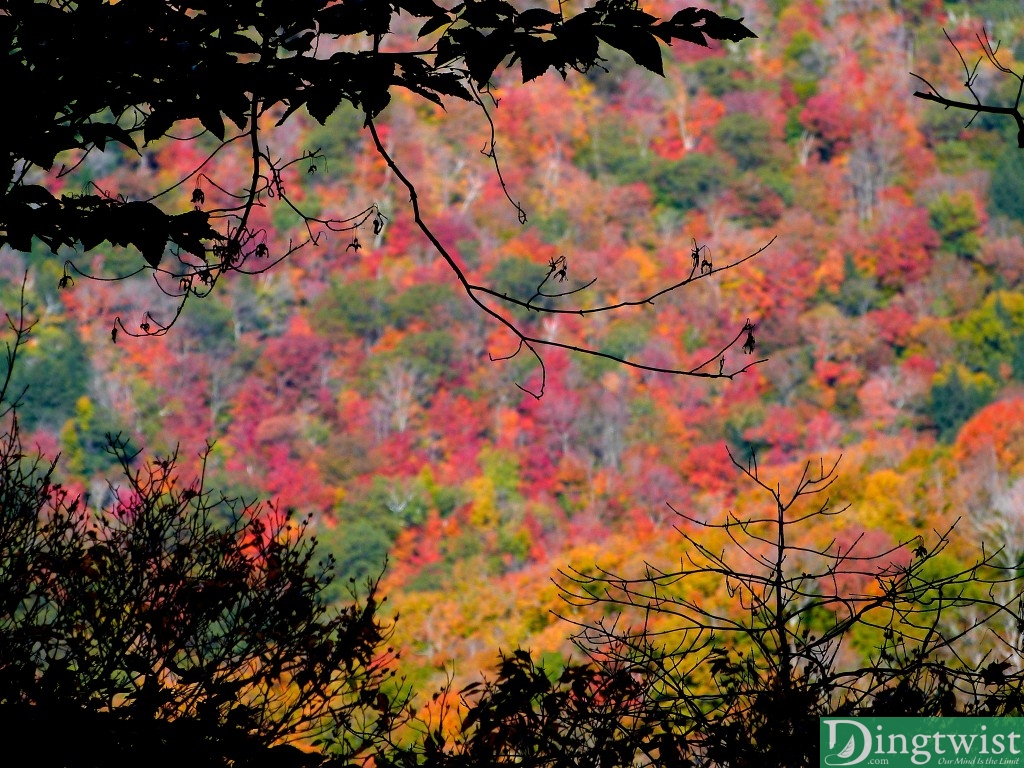 mt greylock moneybrook trail