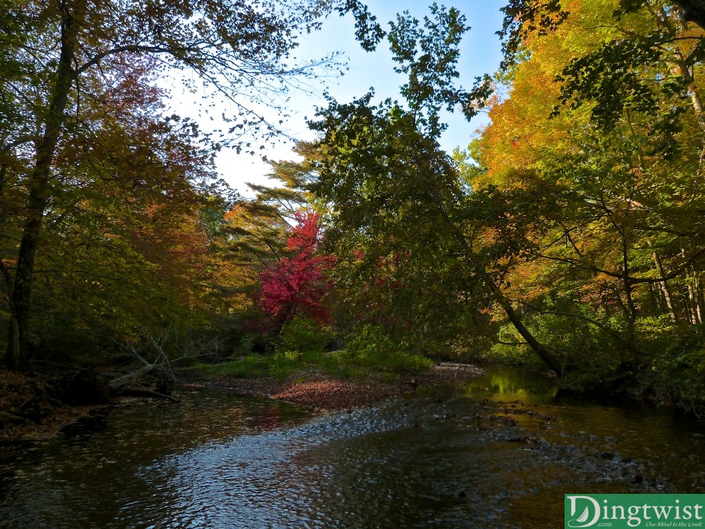 autumn colors