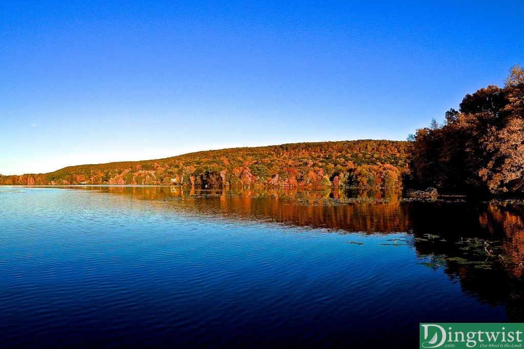 autumn colors