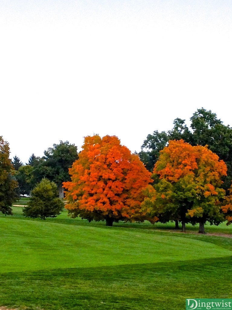 autumn colors