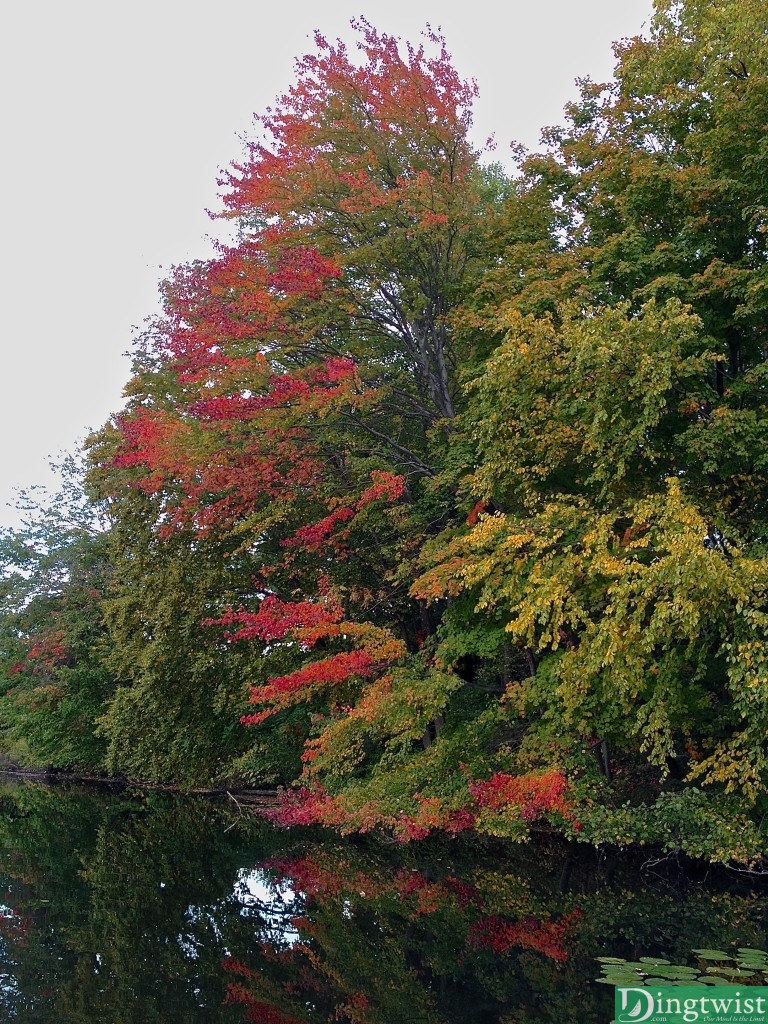 autumn colors