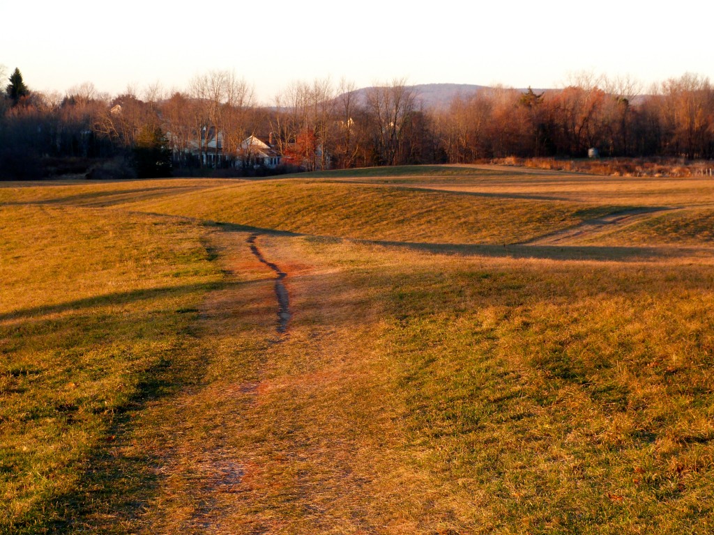 November Morning