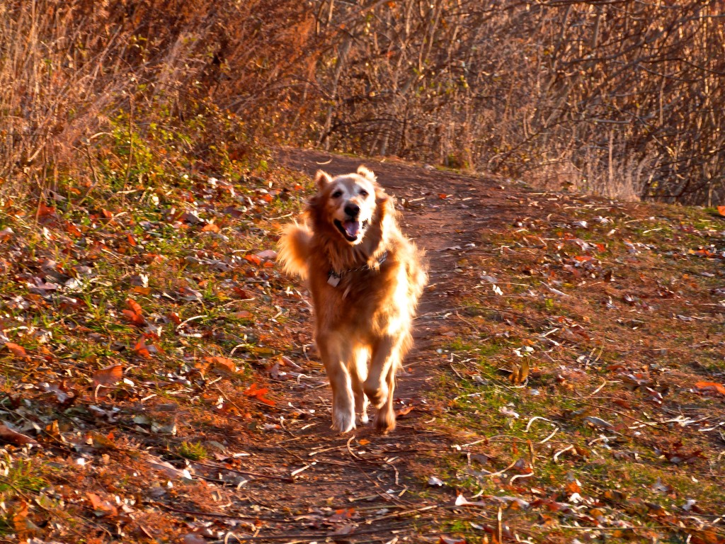 November Morning