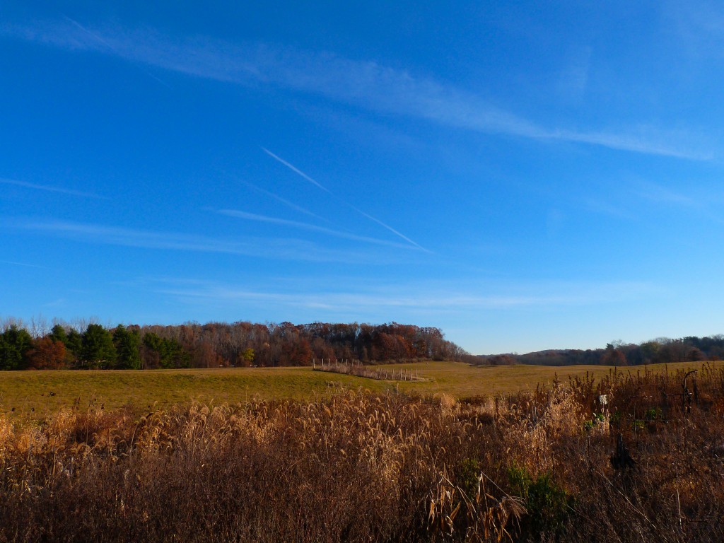 November Morning