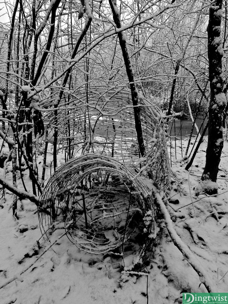 Winter's First Snow