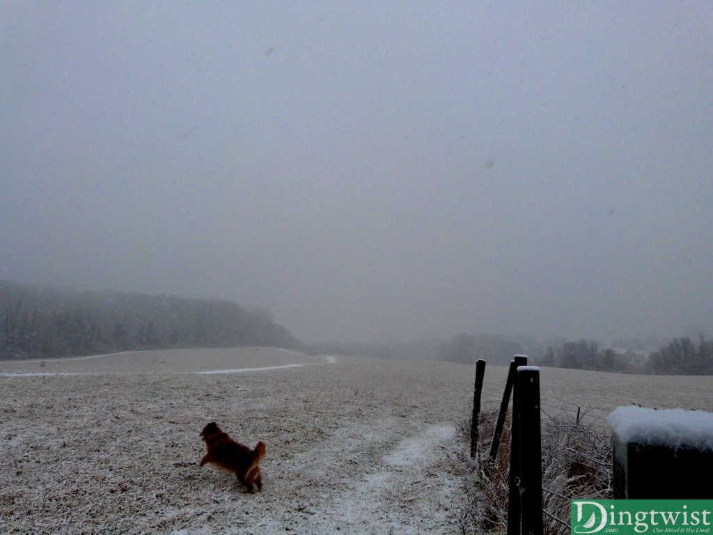 Winter's First Snowfall