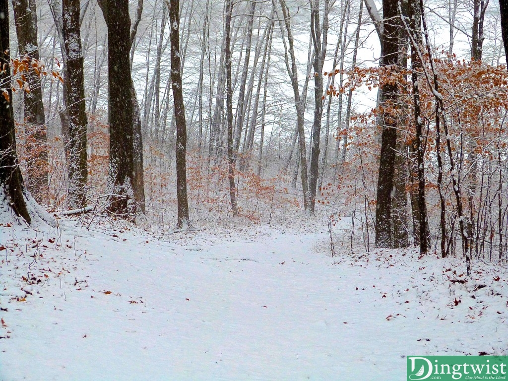 Winter's First Snow