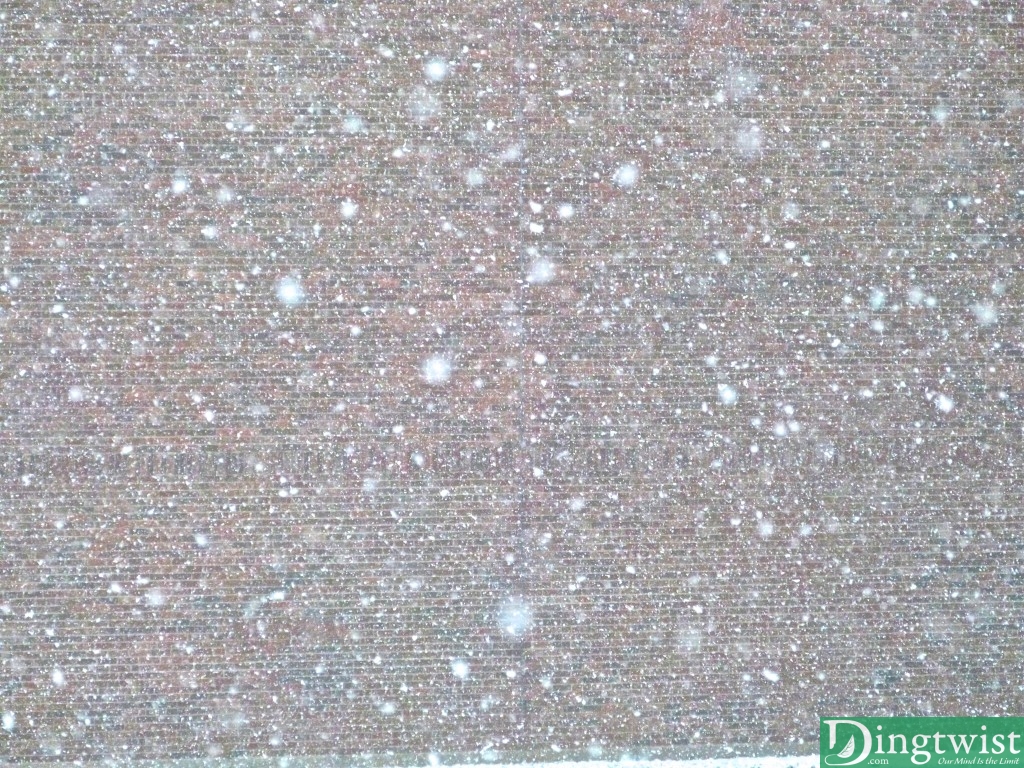 Winter's First Snow