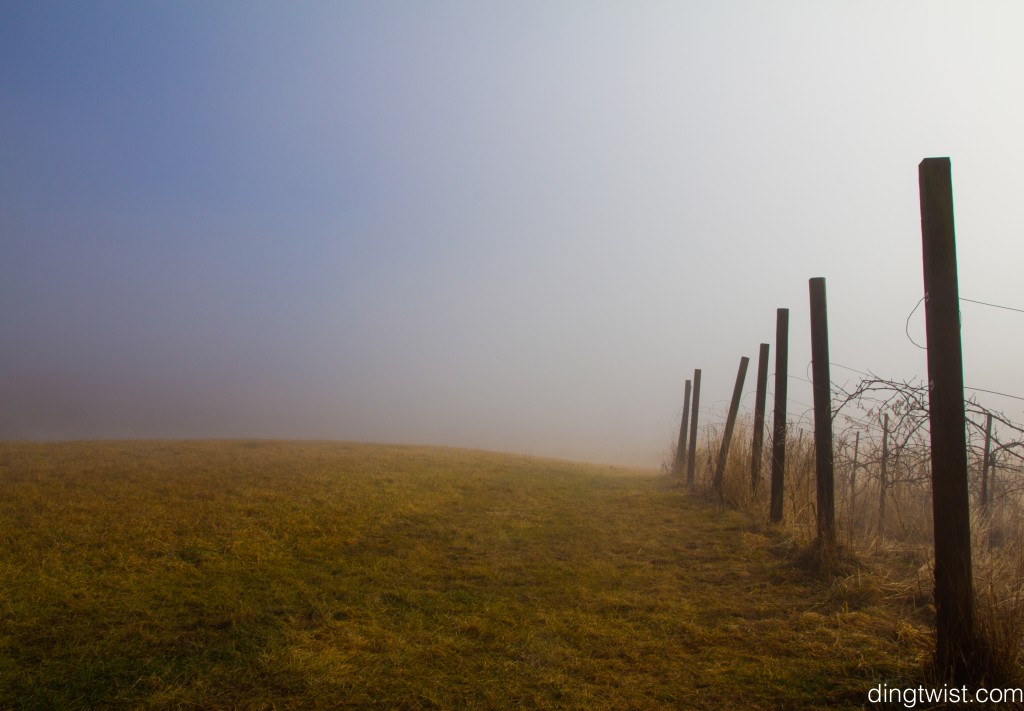 Farm Fog