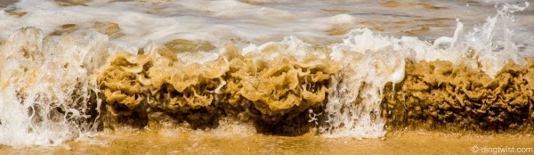 Cavey Wave Anguilla