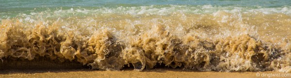 Gnarly Wave Anguilla