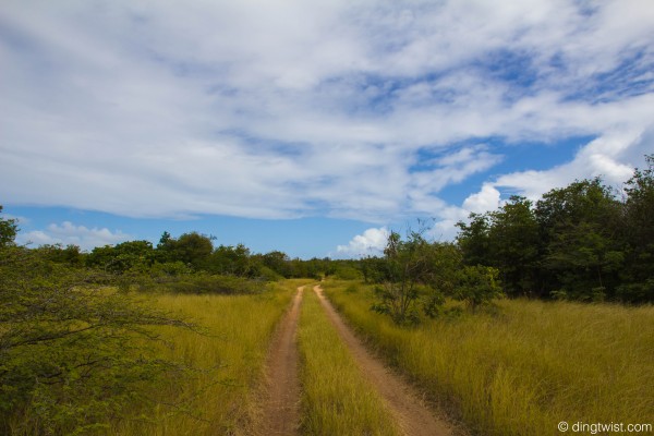 Grassy West End Road Anguilla