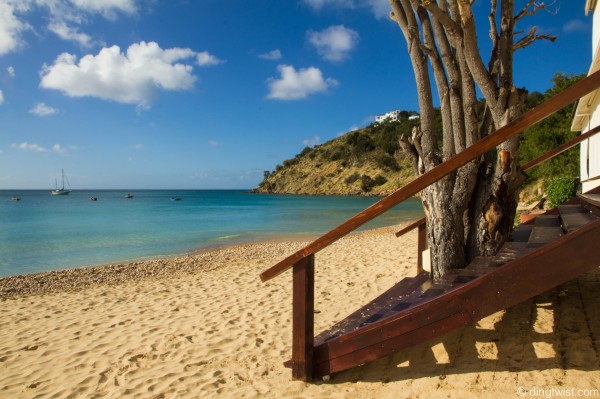 Tree in Stairs Crocus Bay Anguilla