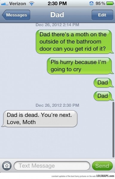 moth