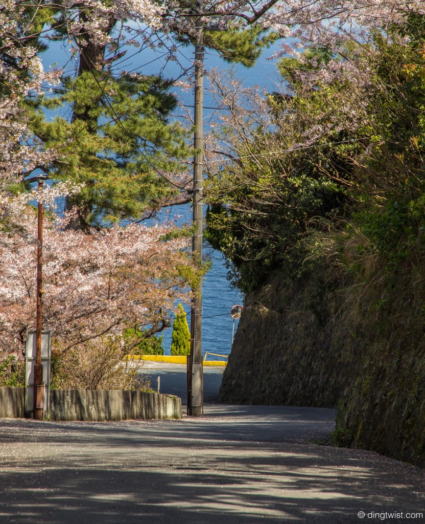 Road to Atami Castle