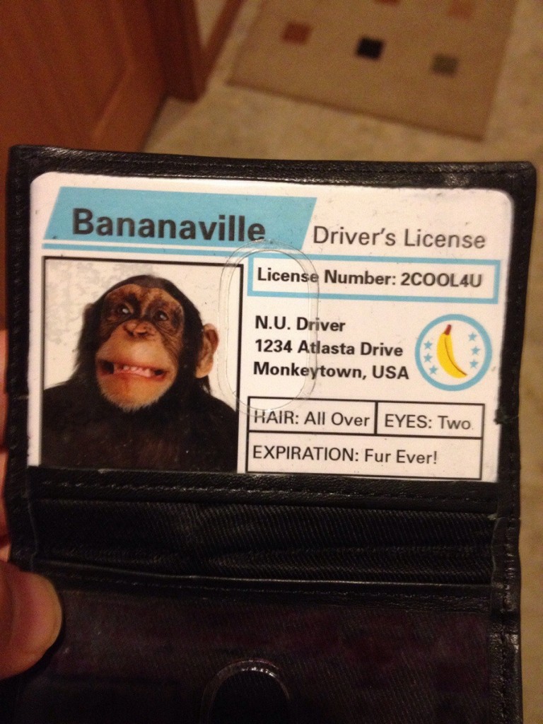 drivers license